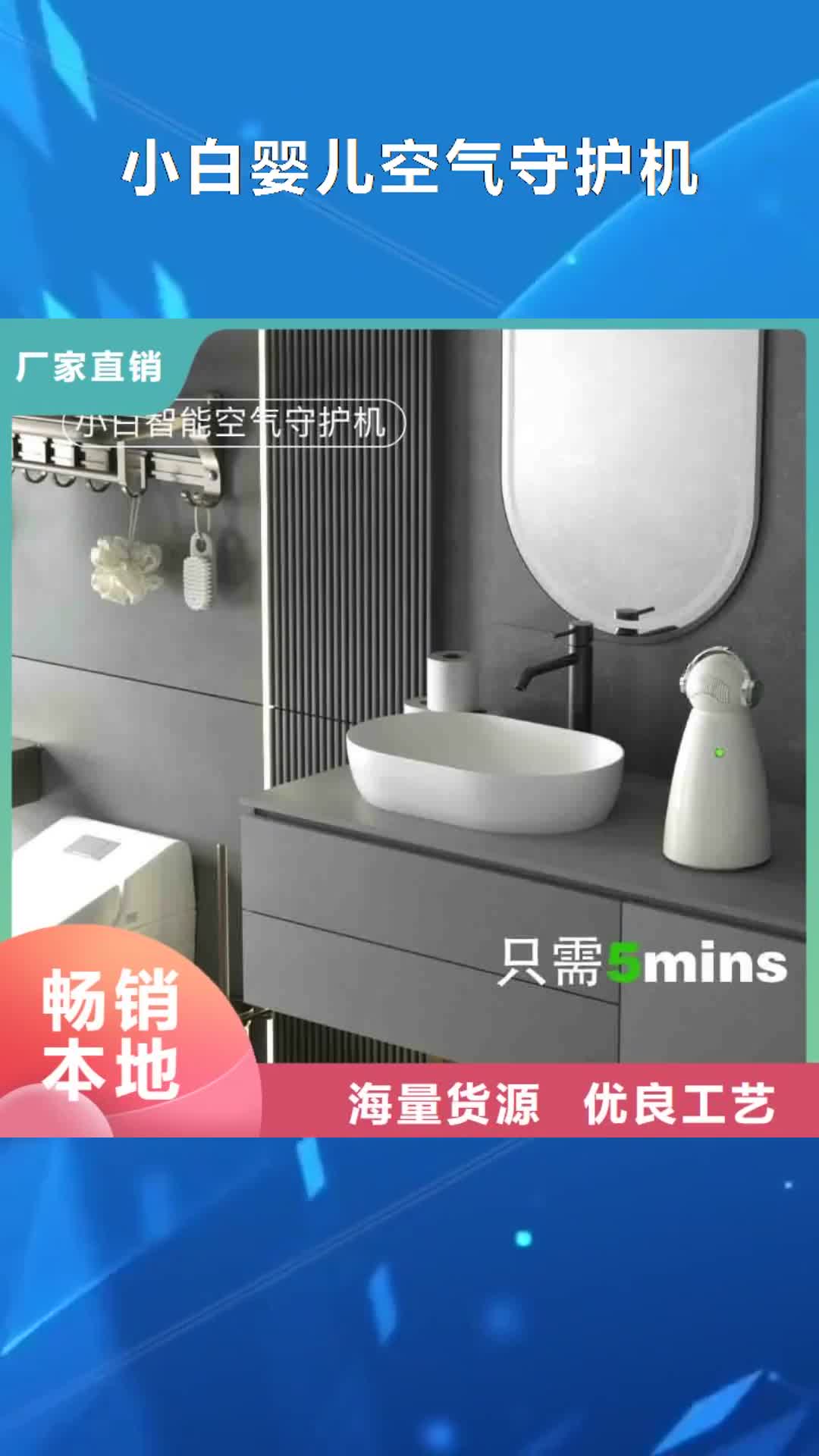 【白银 小白婴儿空气守护机,室内消毒一站式服务】