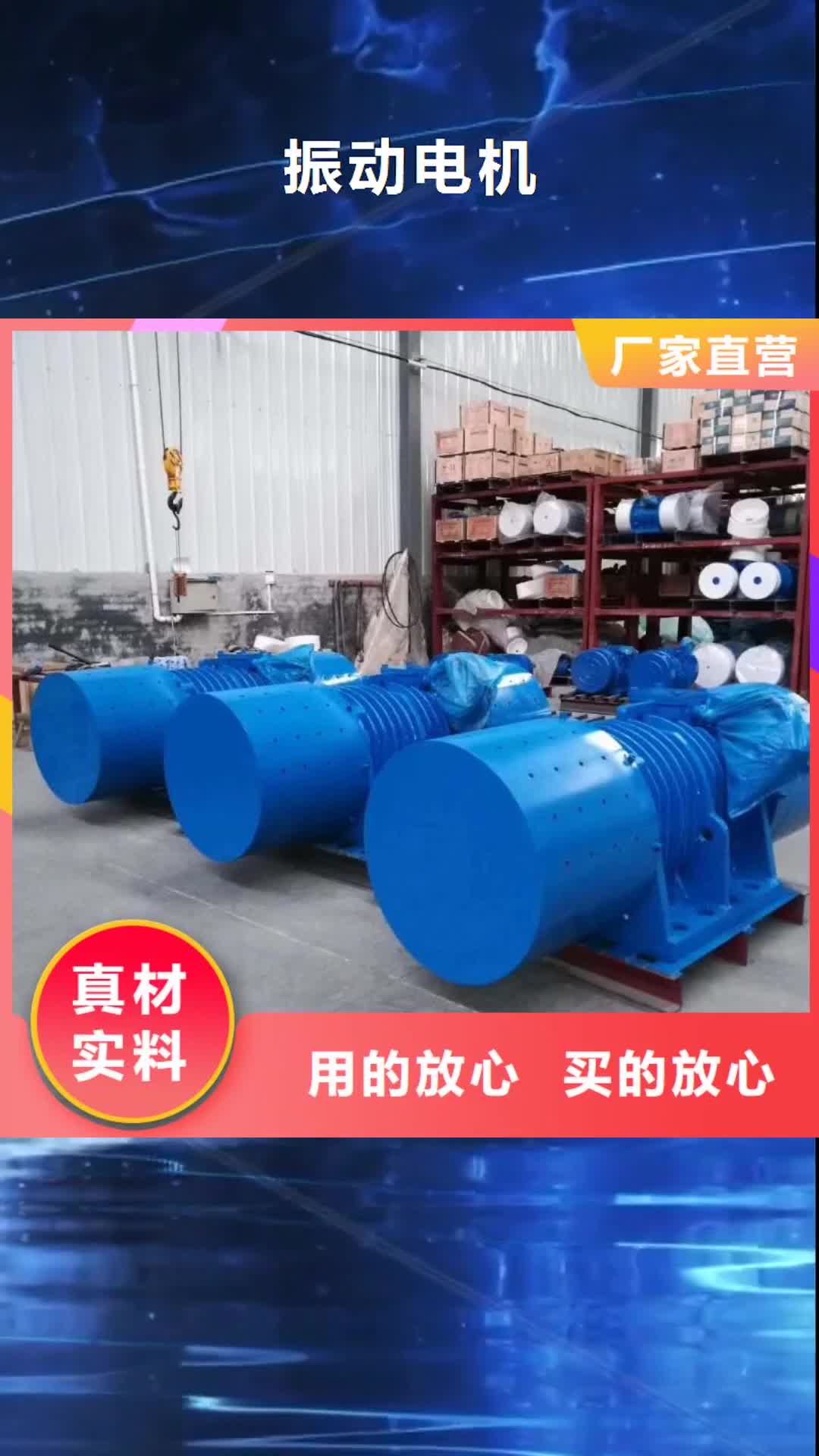 辽阳【振动电机】,三维振动平台厂质量无忧