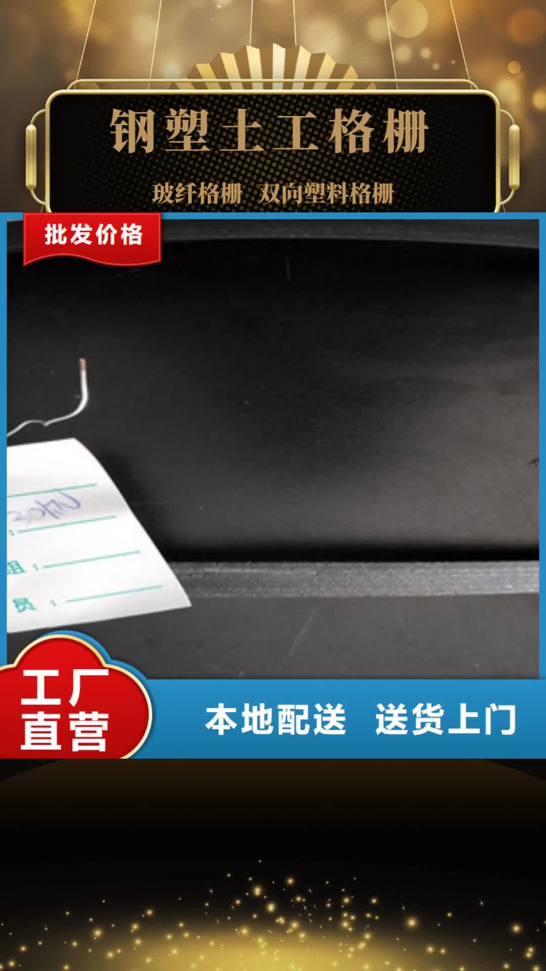 【保山 钢塑土工格栅,玻纤土工格栅专注产品质量与服务】