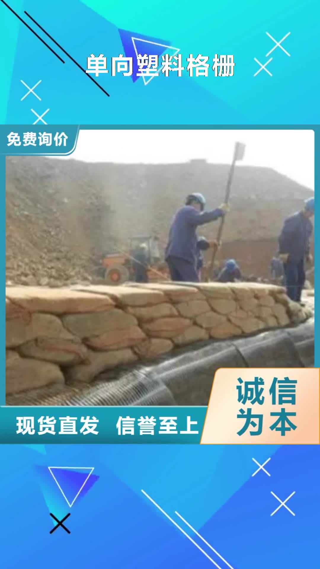 江苏 单向塑料格栅,【三维植被网】不断创新