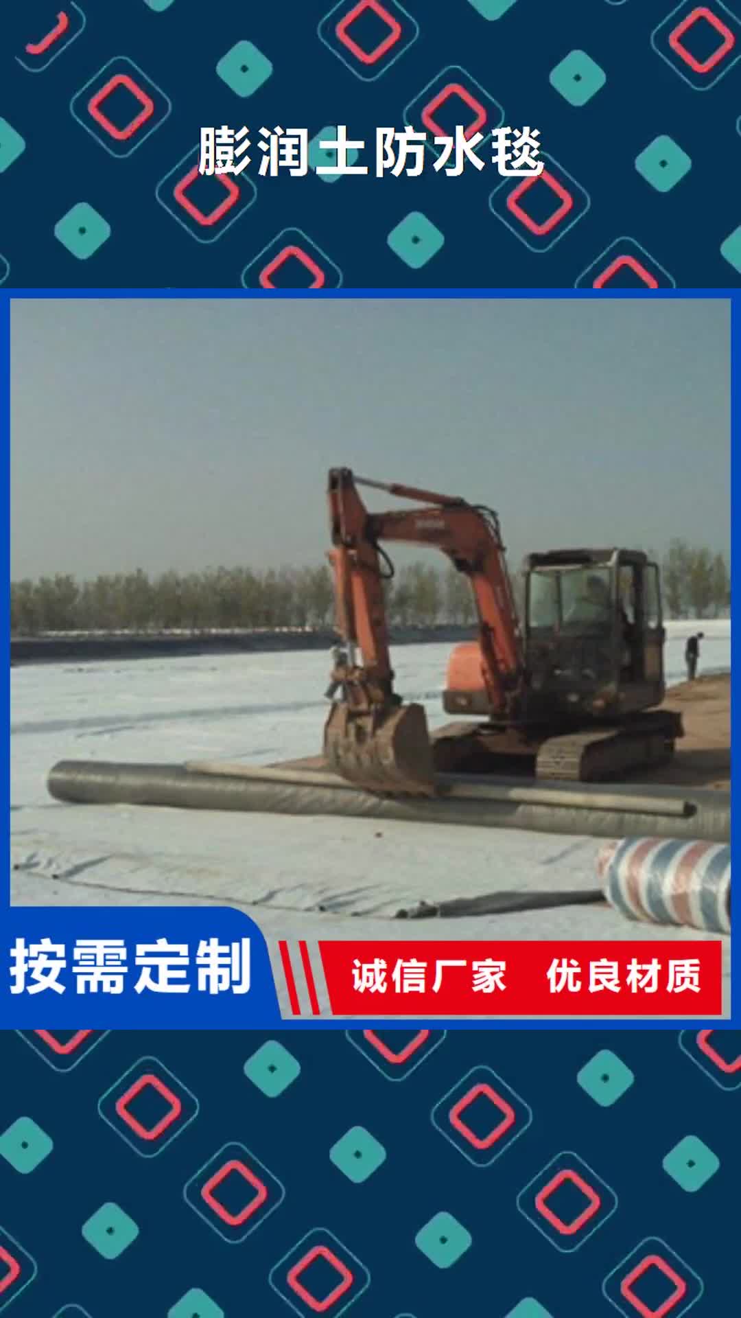 运城 膨润土防水毯,【钢塑土工格栅】工厂批发