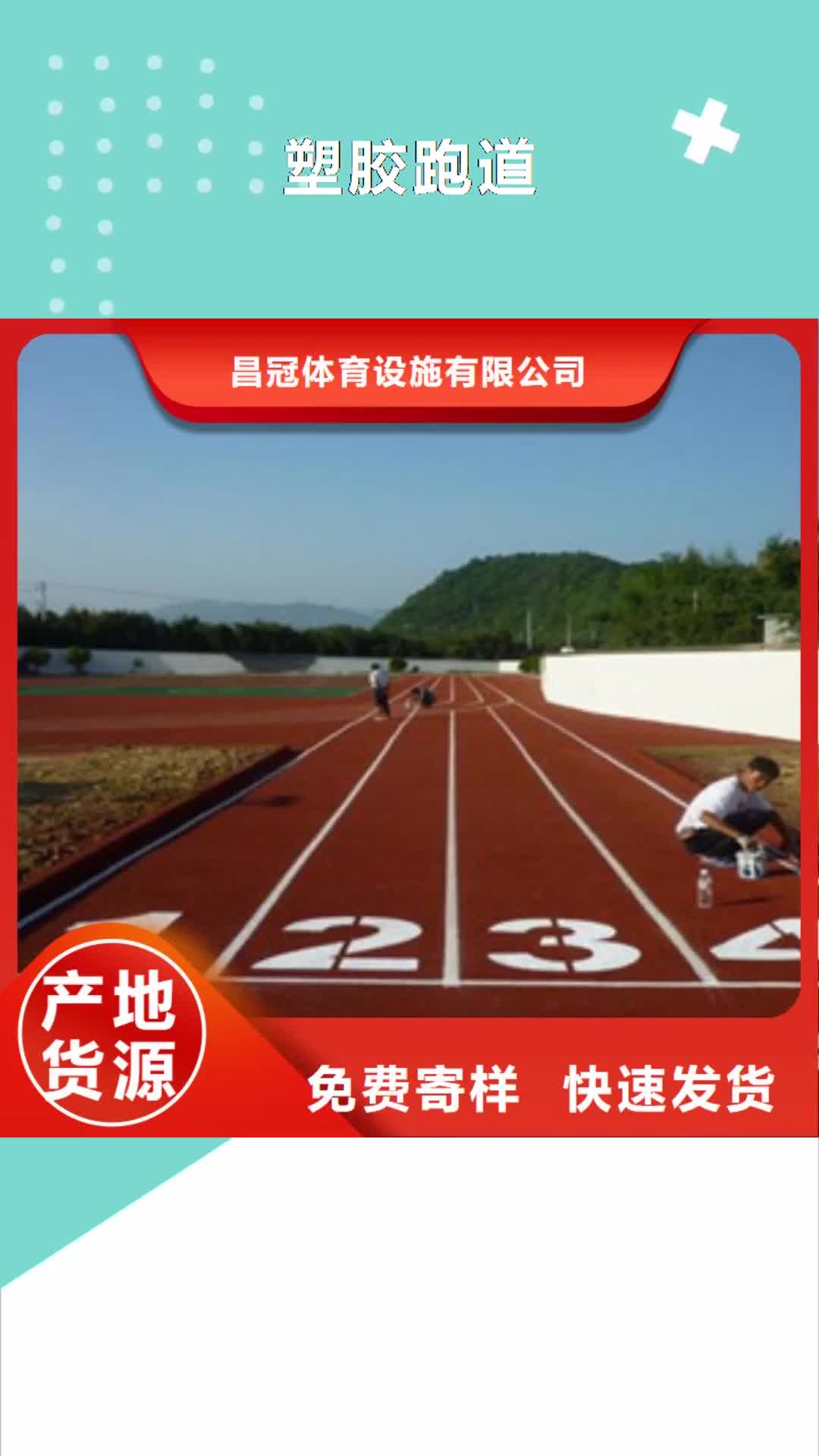 广东 塑胶跑道_【塑胶地板】按需定制